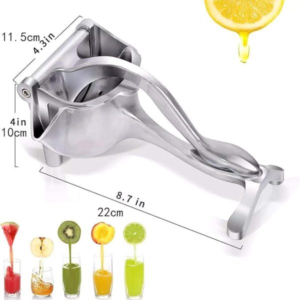 Manual Fruit Press