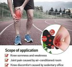 Professional Herbal Knee Plaster Patch - Image 5