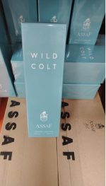 Assaf Wild Colt + Gris Erik - Image 3